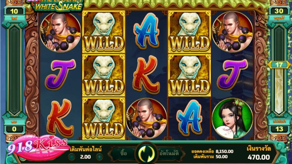 สัญลักษณ์พิเศษ - wild